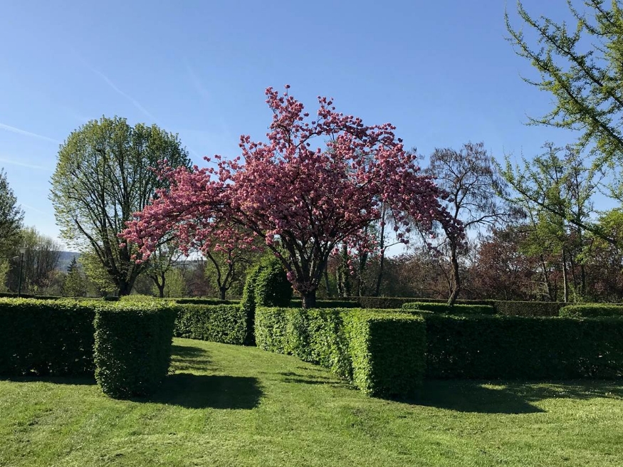 Camping site for cycle tourists: Package for 1 night for 1 person Cycle tourist/Pilgrim