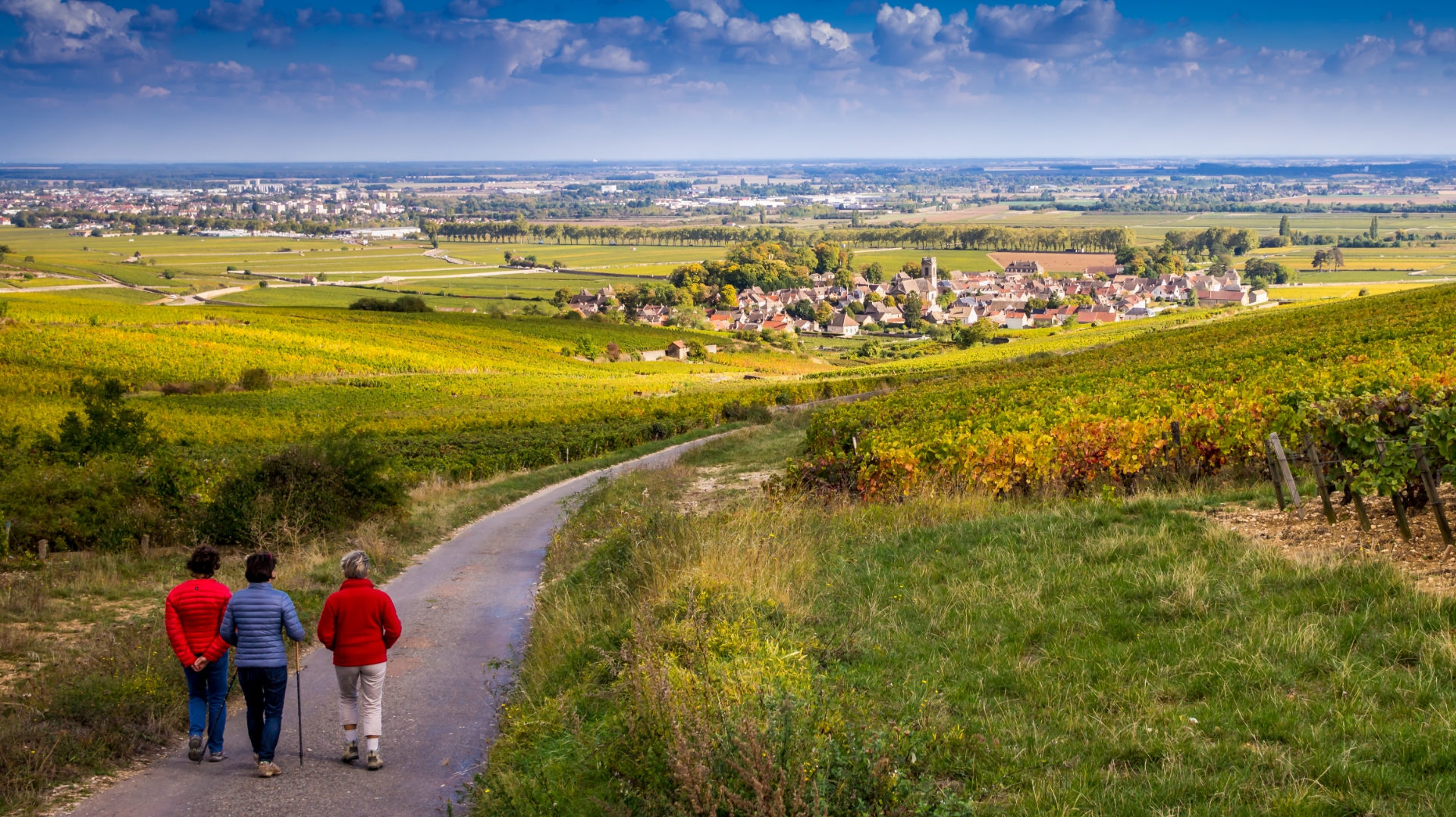 Hiking: activities and leisure around the Paquier Fané campsite in Chagny in Bourgogne-Franche-Comté