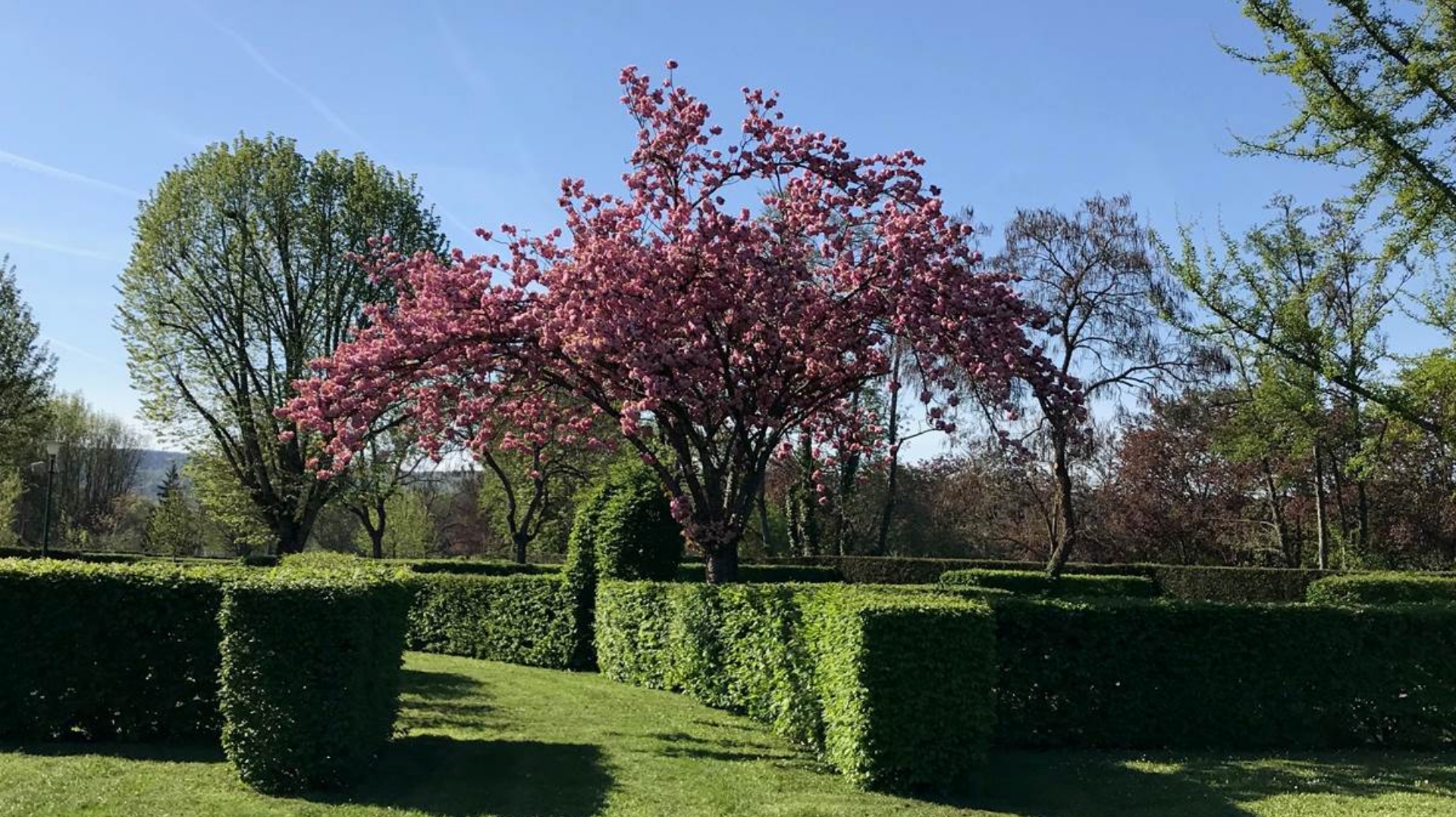 View of the campsites in Saône-et-Loire at the Paquier Fané campground 