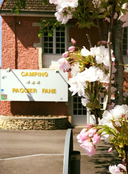 The reception area of the 3-star campsite in Saône-et-Loire, Le Paquier Fané Fané