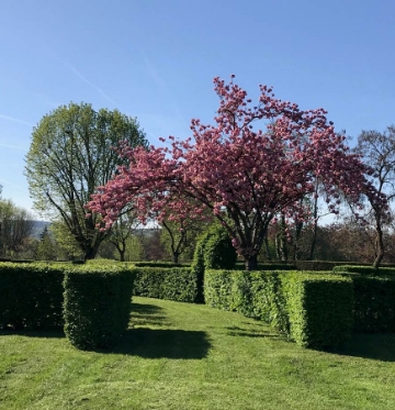 Spacious pitches for tents, caravans, and motorhomes