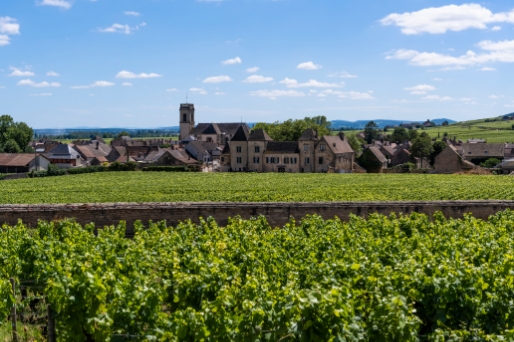 Visit the wine village of Pommard: ideas for themed days during your stay at Le Paquier Fané campground in Bourgogne-Franche-Comté