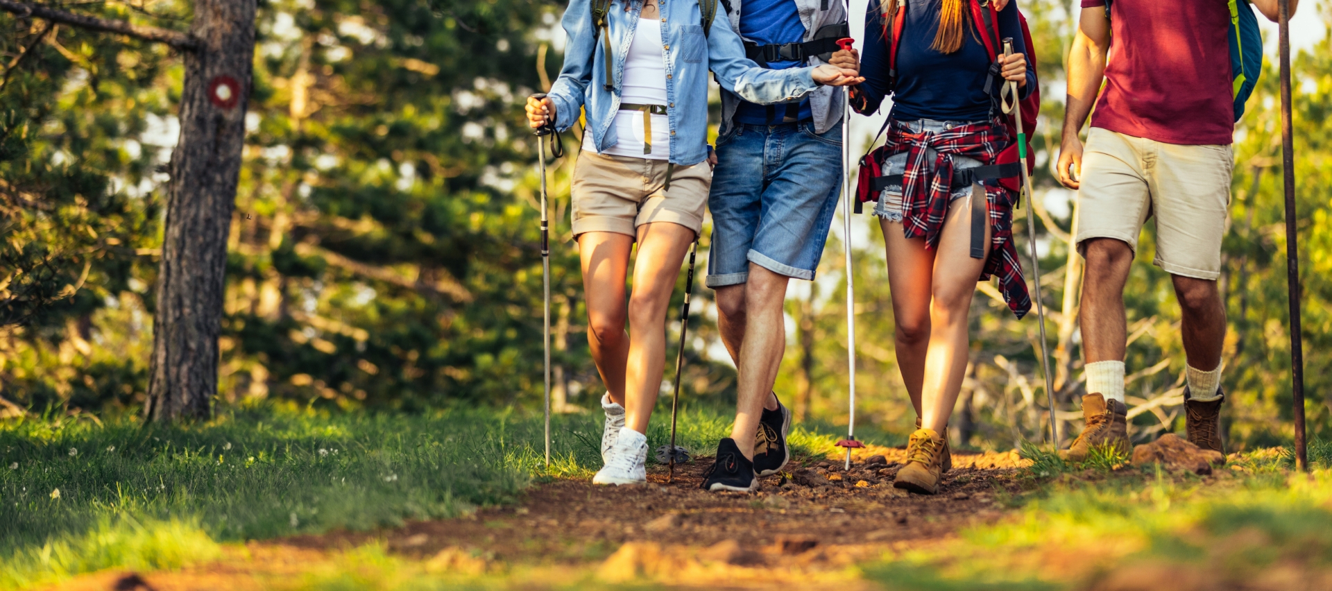 Hiking in the great outdoors around Chagny during your stay at Le Paquier Fané campground in Saône-et-Loire