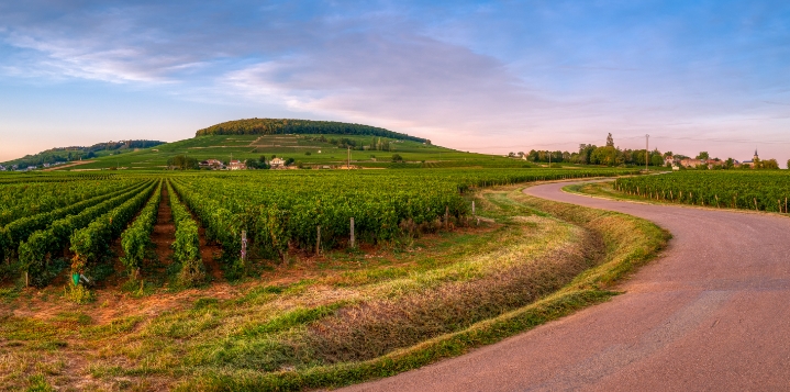 Wine routes: Le Paquier Fané campground in Saône-et-Loire, Chagny