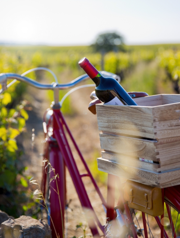 The Paquier Fané campsite in Saône-et-Loire is located between Côte de Beaune and Côte Chalonnaise.