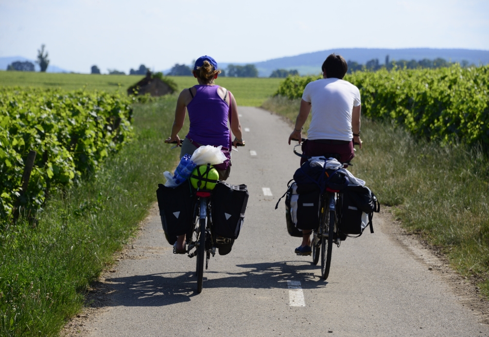 Bike rides along the greenway: activities and leisure pursuits around Le Paquier Fané campground in Chagny